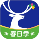 丝路视听